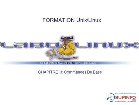 FORMATION Unix/Linux CHAPITRE 3: Commandes De Base.
