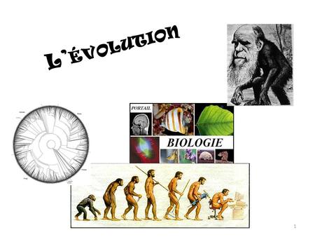 L’évolution.