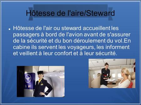 Hôtesse de l'aire/Steward
