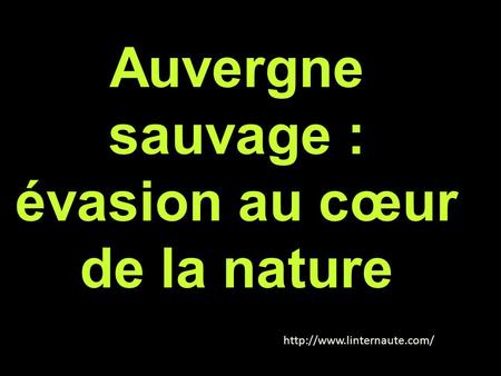 Auvergne sauvage : évasion au cœur de la nature