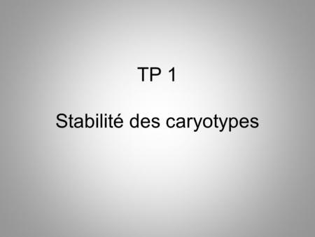 TP 1 Stabilité des caryotypes