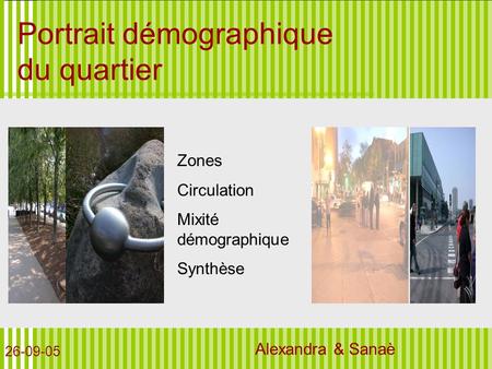 Portrait démographique du quartier Alexandra & Sanaè Zones Circulation Mixité démographique Synthèse 26-09-05.