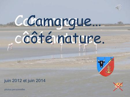 Camargue… côté nature. Camargue… côté nature. juin 2012 et juin 2014 photos personnelles.