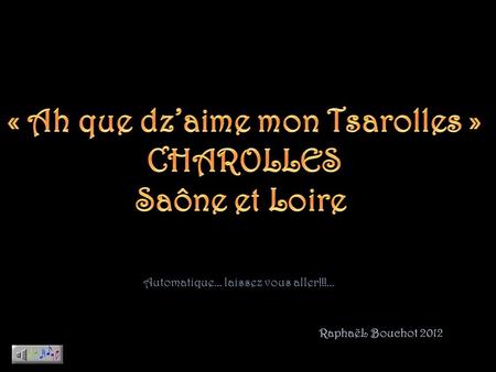 RaphaëL Bouchot 2012 Automatique… laissez vous aller!!!...