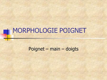 MORPHOLOGIE POIGNET Poignet – main – doigts.
