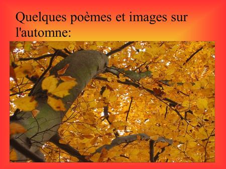 Quelques poèmes et images sur l'automne: