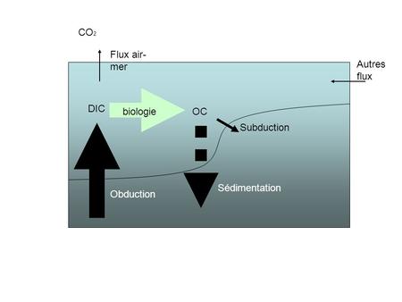 DIC OC CO 2 Flux air- mer Autres flux Obduction Sédimentation Subduction biologie.