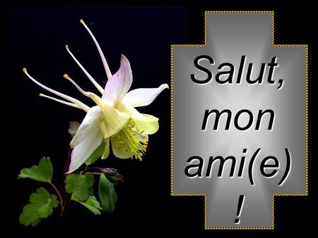 Salut, mon ami(e)!.