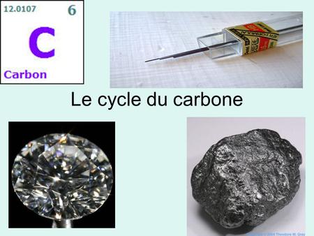 Le cycle du carbone.