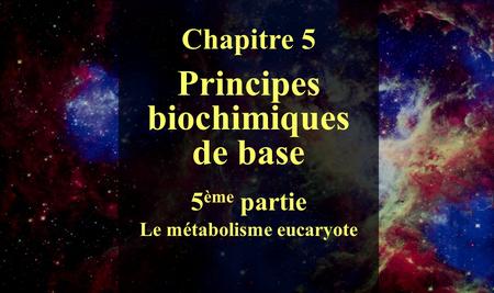 Principes biochimiques de base Le métabolisme eucaryote