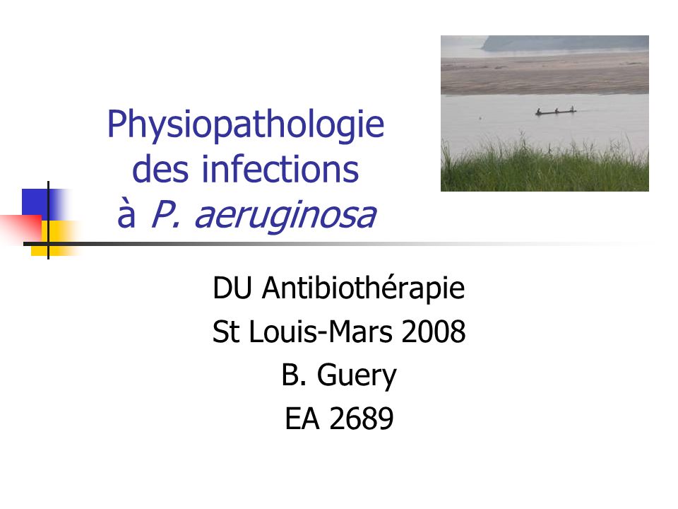 Physiopathologie Des Infections A P Aeruginosa Ppt Video Online Telecharger