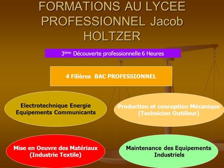 FORMATIONS AU LYCEE PROFESSIONNEL Jacob HOLTZER