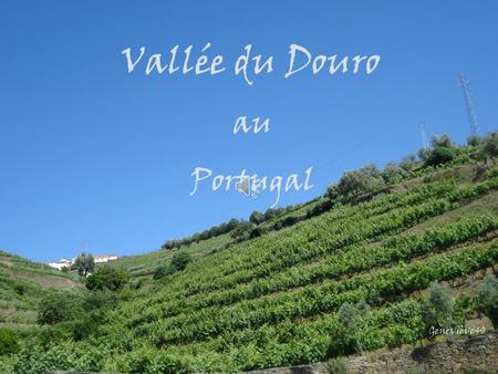 la vallée du Douro,région célèbre pour son vin de porto, ses la vallée du Douro,région célèbre pour son vin de porto, ses vignes en terrasses est classée.