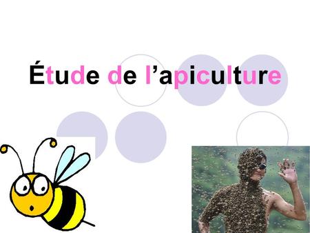 Étude de l’apiculture. Comment les abeille se reproduise ? Les abeilles d’une même ruche appartiennent à la même famille, car une fois la reine fécondée.
