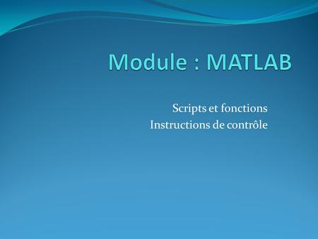 Scripts et fonctions Instructions de contrôle