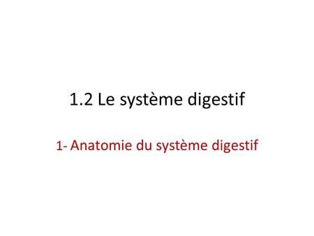 1- Anatomie du système digestif