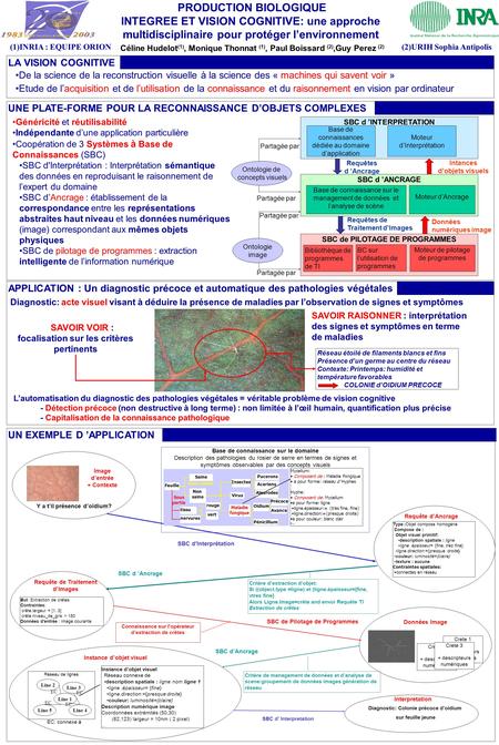 APPLICATION : Un diagnostic précoce et automatique des pathologies végétales LA VISION COGNITIVE De la science de la reconstruction visuelle à la science.