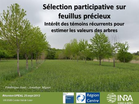 Sélection participative sur feuillus précieux Intérêt des témoins récurrents pour estimer les valeurs des arbres Frédérique Santi - Jonathan Migeot Réunion.