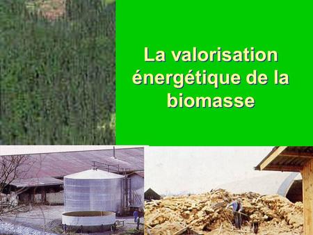 La valorisation énergétique de la biomasse