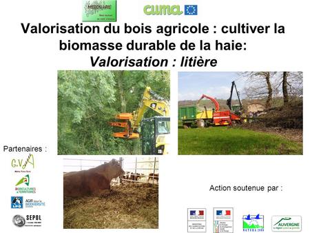 Valorisation du bois agricole : cultiver la biomasse durable de la haie: Valorisation : litière Partenaires : Action soutenue par :