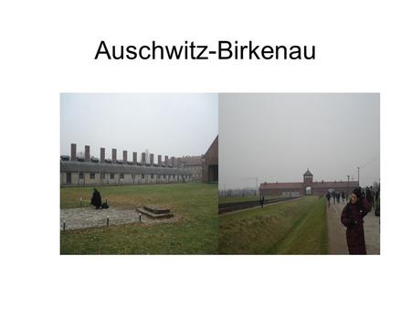 Auschwitz-Birkenau. Le voyage Accompagnés de nos professeurs d’histoire et d’anglais, nous avons pris l’avion à Marignan, le 19/11/12 à 7 heures. Nous.