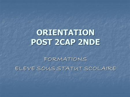 ORIENTATION POST 2CAP 2NDE FORMATIONS ELEVE SOUS STATUT SCOLAIRE.