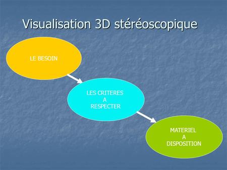 LE BESOIN MATERIEL A DISPOSITION Visualisation 3D stéréoscopique LES CRITERES A RESPECTER.