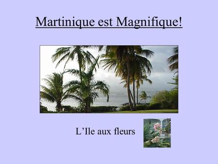 Martinique est Magnifique! L’Ile aux fleurs. Du Pointe du Bout à Fort de France On prend le ferry.