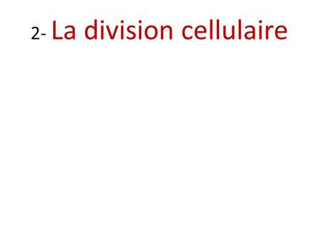 2- La division cellulaire