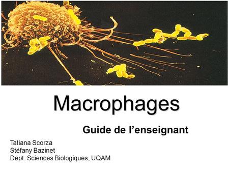 Macrophages Guide de l’enseignant Tatiana Scorza Stéfany Bazinet