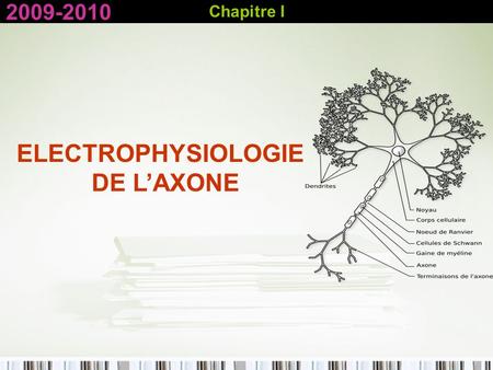 Chapitre I 2009-2010 ELECTROPHYSIOLOGIE DE L’AXONE.
