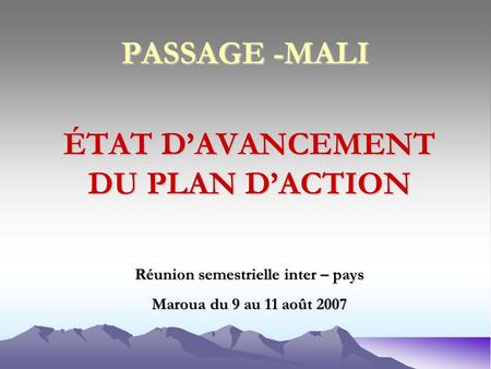 PASSAGE -MALI ÉTAT DAVANCEMENT DU PLAN DACTION Réunion semestrielle inter – pays Maroua du 9 au 11 août 2007.