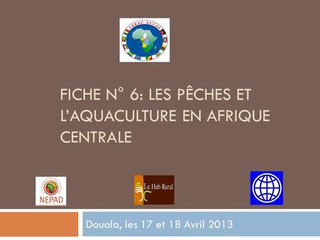 FICHE N° 6: LES PÊCHES ET LAQUACULTURE EN AFRIQUE CENTRALE Douala, les 17 et 18 Avril 2013.