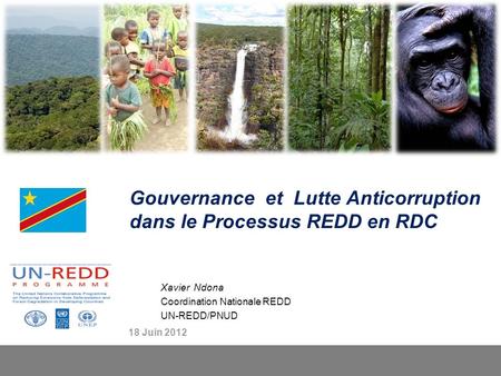 Gouvernance et Lutte Anticorruption dans le Processus REDD en RDC