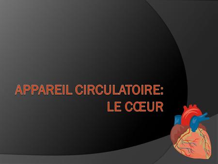Appareil circulatoire: Le Cœur