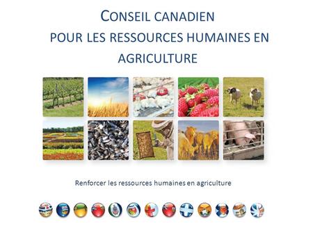 C ONSEIL CANADIEN POUR LES RESSOURCES HUMAINES EN AGRICULTURE Renforcer les ressources humaines en agriculture.
