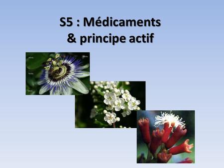 S5 : Médicaments & principe actif