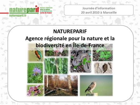 Journée dinformation 20 avril 2010 à Marseille NATUREPARIF Agence régionale pour la nature et la biodiversité en Île-de-France.