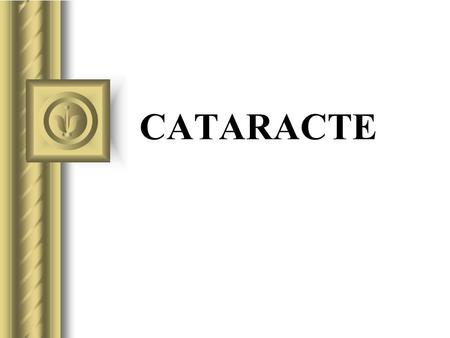 CATARACTE.