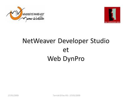 NetWeaver Developer Studio et Web DynPro 27/01/2009Tamizé Gilles IR3 - 27/01/2009.