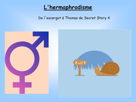 De l'escargot à Thomas de Secret Story 4
