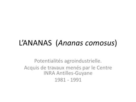 L’ANANAS (Ananas comosus)