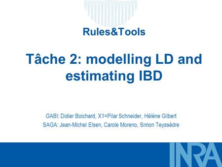 T&R 4 juin 2010 Rules&Tools Tâche 2: modelling LD and estimating IBD GABI: Didier Boichard, X1=Pilar Schneider, Hélène Gilbert SAGA: Jean-Michel Elsen,