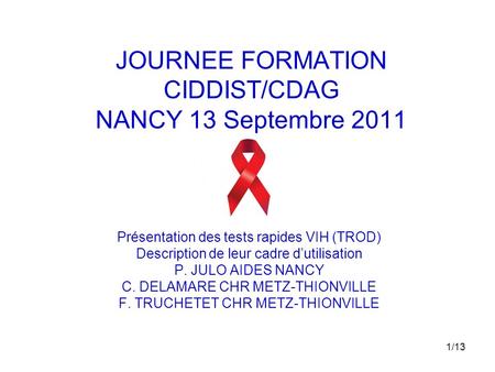 JOURNEE FORMATION CIDDIST/CDAG NANCY 13 Septembre 2011
