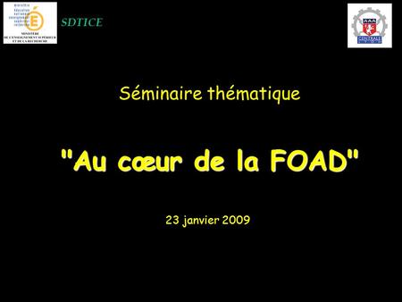 SDTICE Séminaire thématique Au cœur de la FOAD 23 janvier 2009.