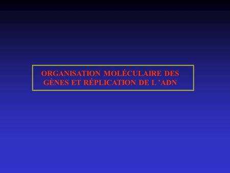 ORGANISATION MOLÉCULAIRE DES GÈNES ET RÉPLICATION DE L ’ADN