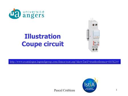 Pascal Crubleau Illustration Coupe circuit 1