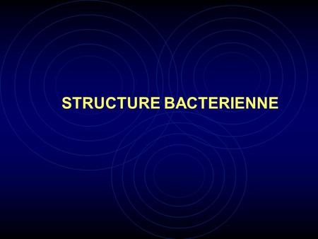 STRUCTURE BACTERIENNE