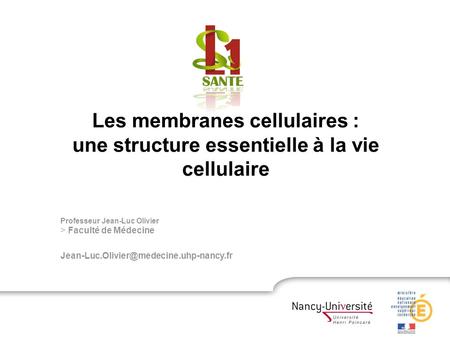 Les membranes cellulaires :