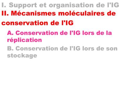 I. Support et organisation de l'IG II